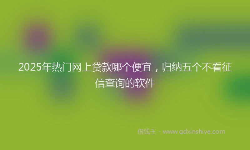 2025年热门网上贷款哪个便宜，归纳五个不看征信查询的软件