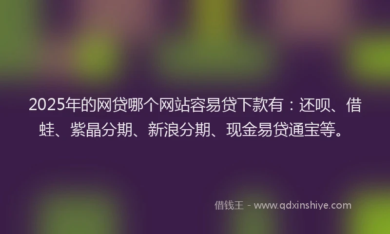 2025年的网贷哪个网站容易贷下款有：还呗、借蛙、紫晶分期、新浪分期、现金易贷通宝等。