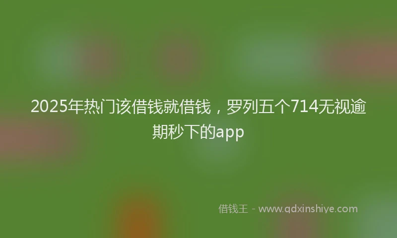 2025年热门该借钱就借钱，罗列五个714无视逾期秒下的app