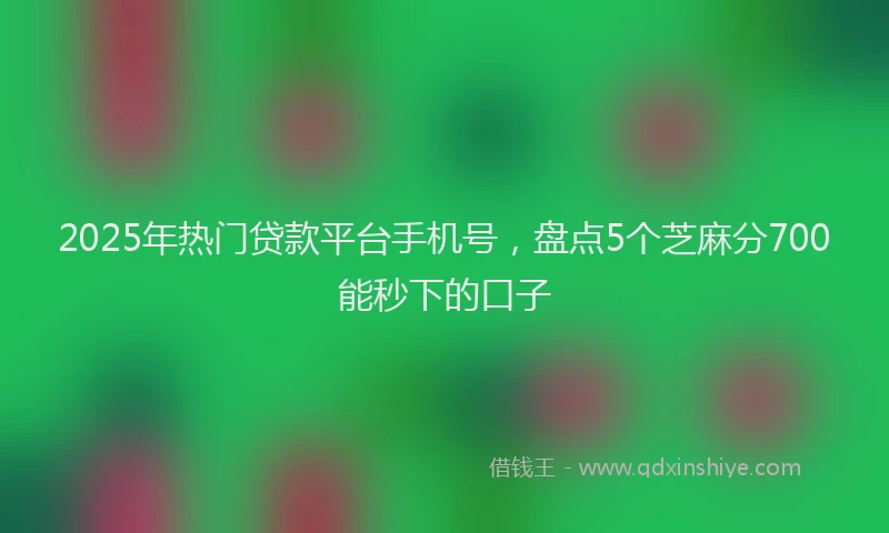 2025年热门贷款平台手机号，盘点5个芝麻分700能秒下的口子