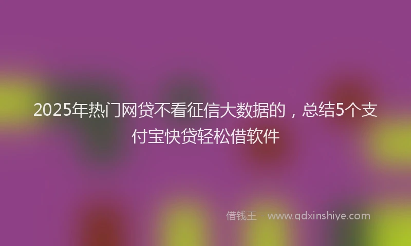 2025年热门网贷不看征信大数据的，总结5个支付宝快贷轻松借软件