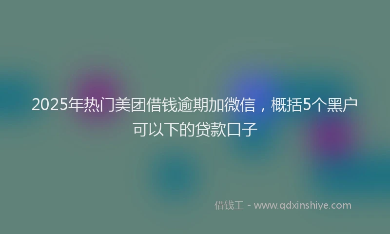 2025年热门美团借钱逾期加微信，概括5个黑户可以下的贷款口子