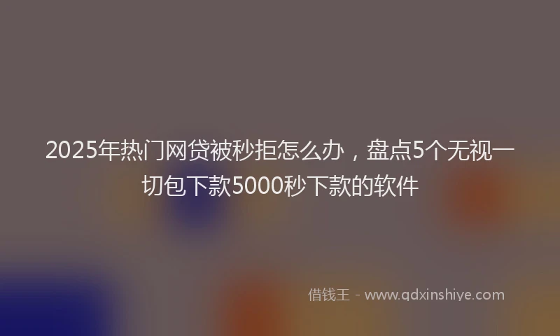 2025年热门网贷被秒拒怎么办，盘点5个无视一切包下款5000秒下款的软件