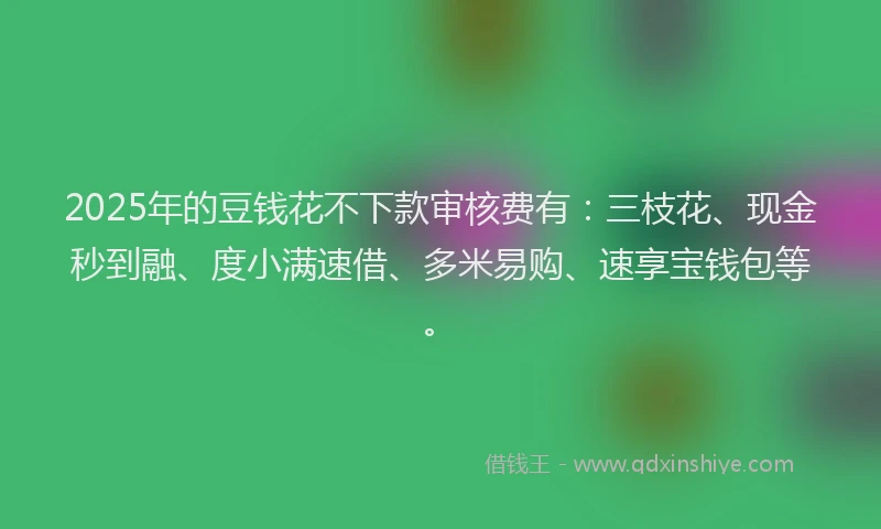 2025年的豆钱花不下款审核费有：三枝花、现金秒到融、度小满速借、多米易购、速享宝钱包等。