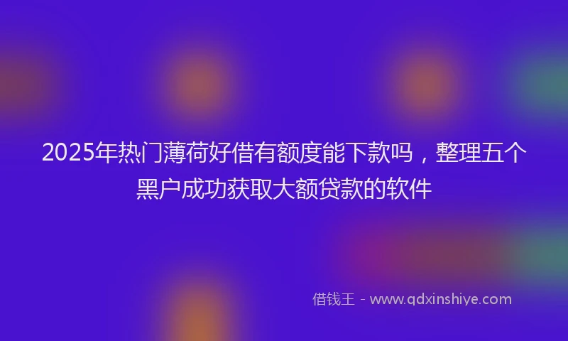 2025年热门薄荷好借有额度能下款吗，整理五个黑户成功获取大额贷款的软件