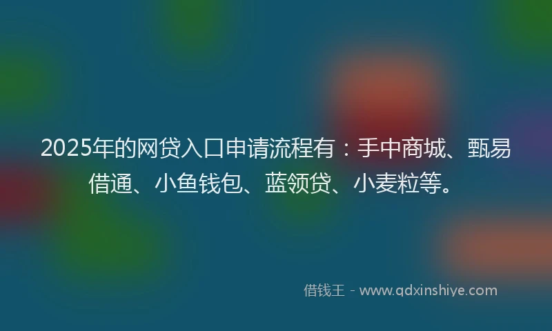 2025年的网贷入口申请流程有：手中商城、甄易借通、小鱼钱包、蓝领贷、小麦粒等。