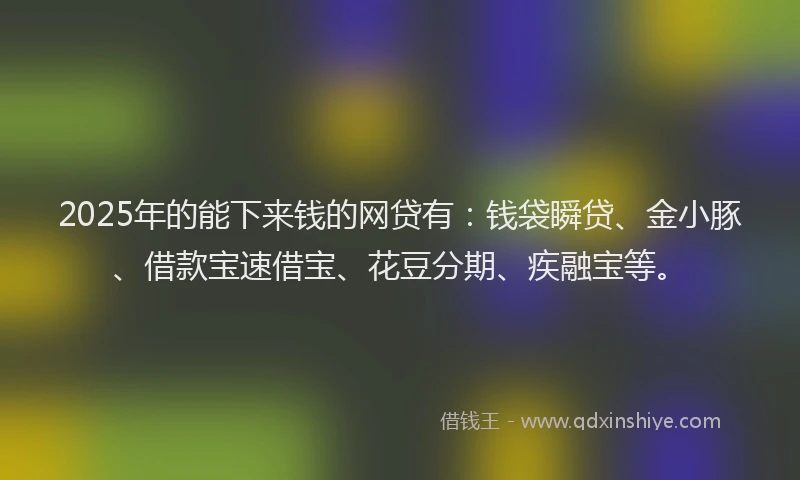 2025年的能下来钱的网贷有：钱袋瞬贷、金小豚、借款宝速借宝、花豆分期、疾融宝等。