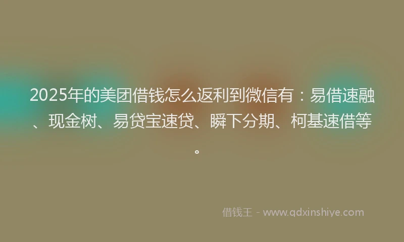 2025年的美团借钱怎么返利到微信有：易借速融、现金树、易贷宝速贷、瞬下分期、柯基速借等。