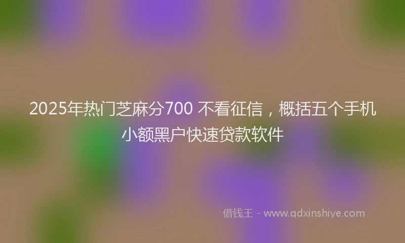 2025年热门芝麻分700 不看征信，概括五个手机小额黑户快速贷款软件