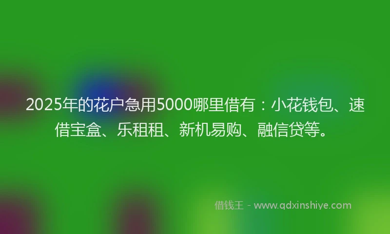 2025年的花户急用5000哪里借有：小花钱包、速借宝盒、乐租租、新机易购、融信贷等。