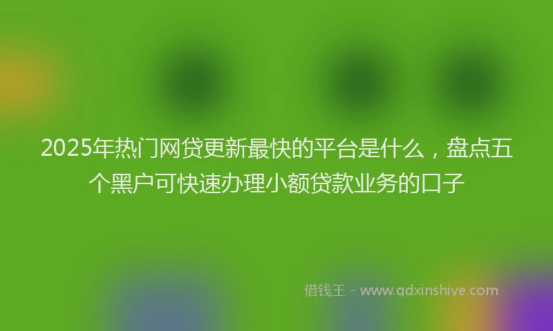 2025年热门网贷更新最快的平台是什么，盘点五个黑户可快速办理小额贷款业务的口子