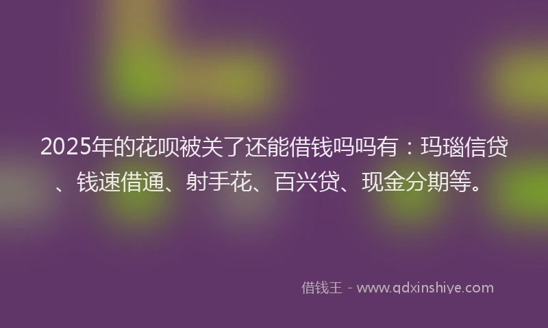 2025年的花呗被关了还能借钱吗吗有：玛瑙信贷、钱速借通、射手花、百兴贷、现金分期等。