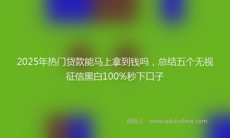 2025年热门贷款能马上拿到钱吗，总结五个无视征信黑白100%秒下口子