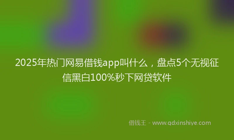 2025年热门网易借钱app叫什么，盘点5个无视征信黑白100%秒下网贷软件