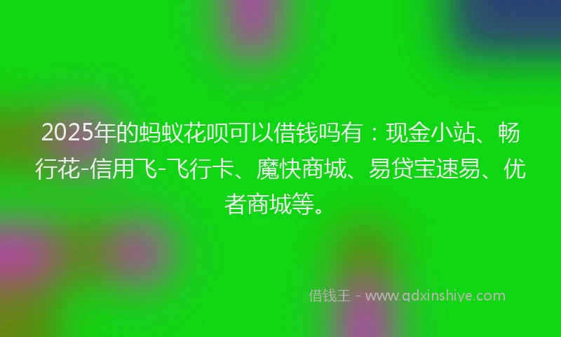2025年的蚂蚁花呗可以借钱吗有：现金小站、畅行花-信用飞-飞行卡、魔快商城、易贷宝速易、优者商城等。