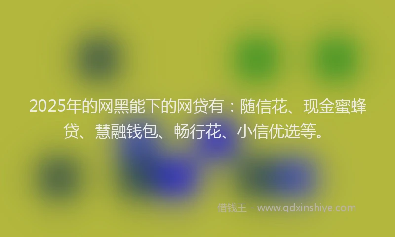 2025年的网黑能下的网贷有：随信花、现金蜜蜂贷、慧融钱包、畅行花、小信优选等。