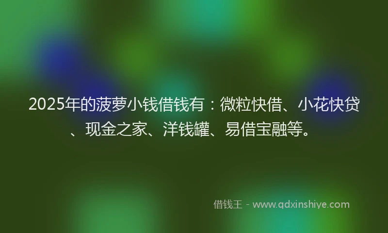 2025年的菠萝小钱借钱有：微粒快借、小花快贷、现金之家、洋钱罐、易借宝融等。