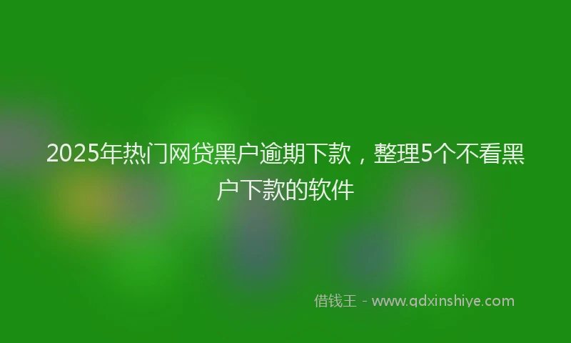 2025年热门网贷黑户逾期下款，整理5个不看黑户下款的软件