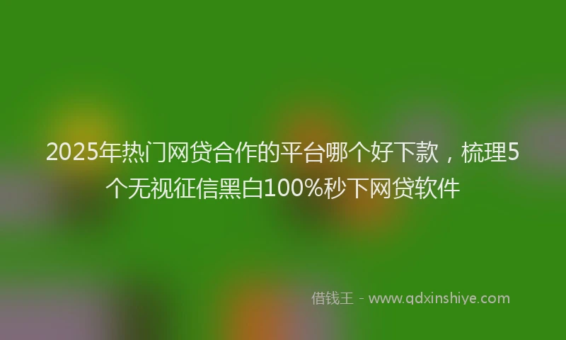 2025年热门网贷合作的平台哪个好下款，梳理5个无视征信黑白100%秒下网贷软件