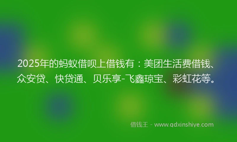 2025年的蚂蚁借呗上借钱有：美团生活费借钱、众安贷、快贷通、贝乐享-飞鑫琼宝、彩虹花等。
