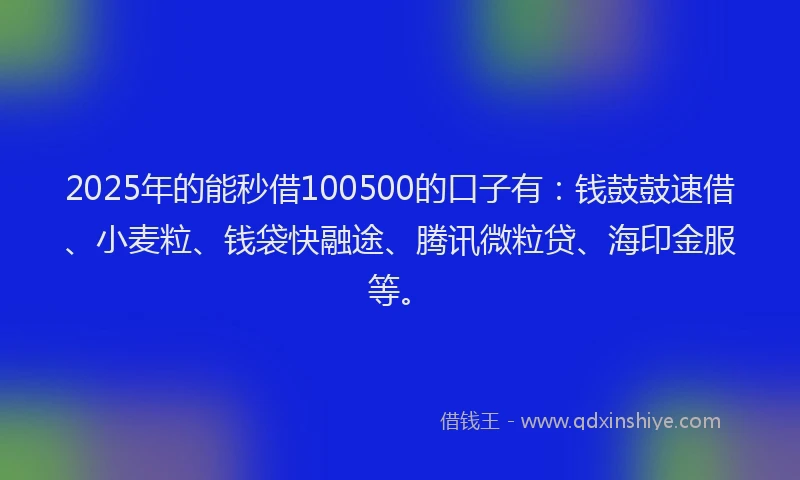 2025年的能秒借100500的口子有：钱鼓鼓速借、小麦粒、钱袋快融途、腾讯微粒贷、海印金服等。