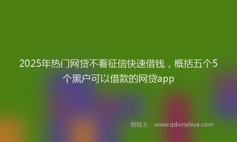 2025年热门网贷不看征信快速借钱，概括五个5个黑户可以借款的网贷app
