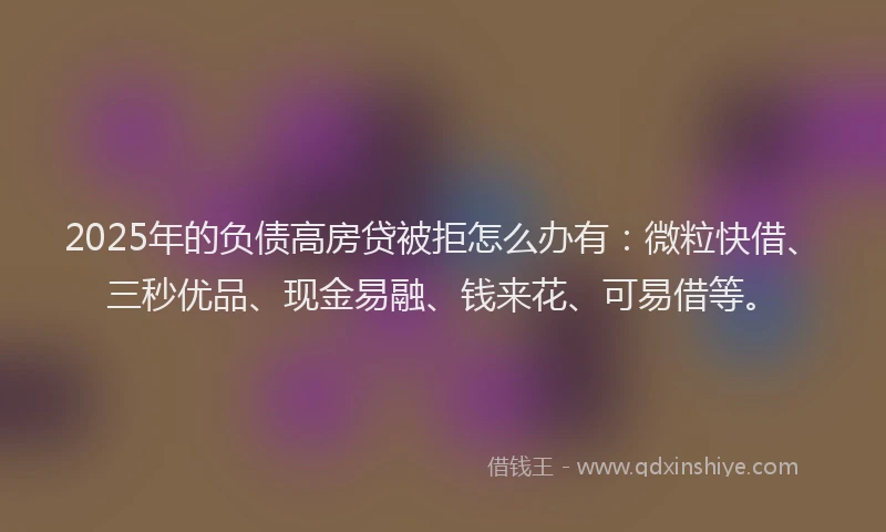 2025年的负债高房贷被拒怎么办有：微粒快借、三秒优品、现金易融、钱来花、可易借等。