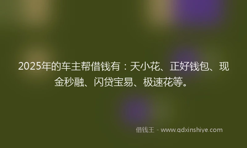 2025年的车主帮借钱有：天小花、正好钱包、现金秒融、闪贷宝易、极速花等。