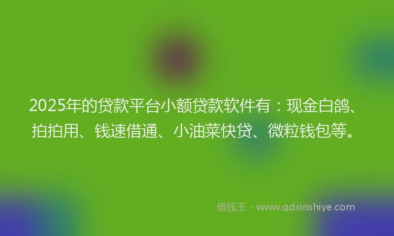 2025年的贷款平台小额贷款软件有：现金白鸽、拍拍用、钱速借通、小油菜快贷、微粒钱包等。
