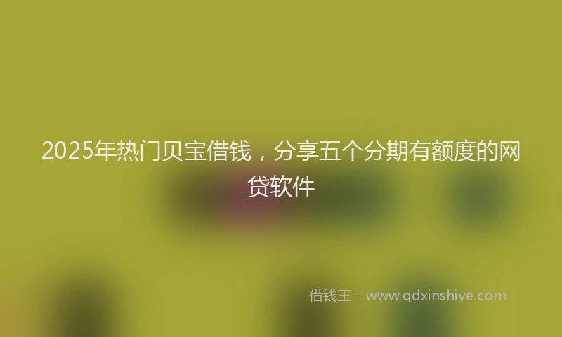 2025年热门贝宝借钱，分享五个分期有额度的网贷软件