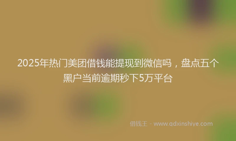 2025年热门美团借钱能提现到微信吗，盘点五个黑户当前逾期秒下5万平台