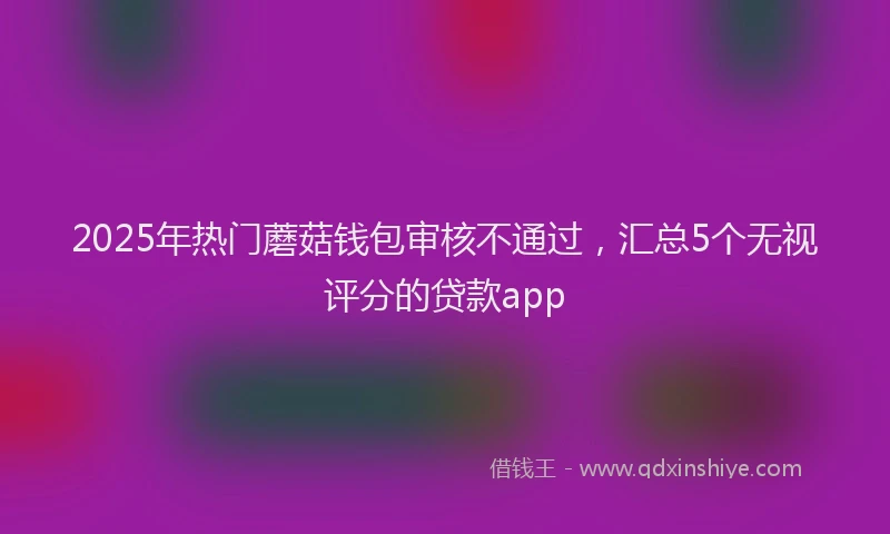 2025年热门蘑菇钱包审核不通过，汇总5个无视评分的贷款app