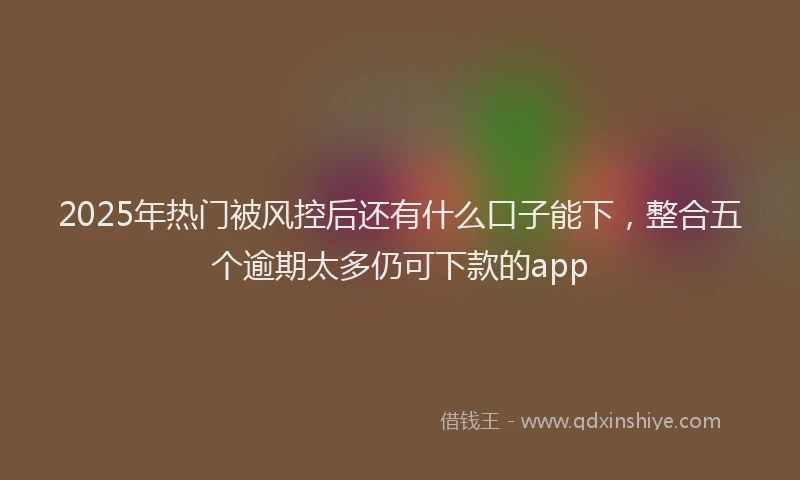 2025年热门被风控后还有什么口子能下，整合五个逾期太多仍可下款的app