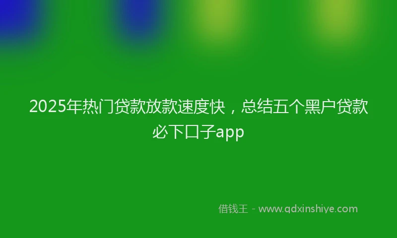 2025年热门贷款放款速度快，总结五个黑户贷款必下口子app
