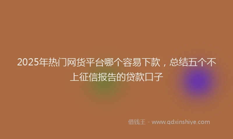 2025年热门网货平台哪个容易下款，总结五个不上征信报告的贷款口子