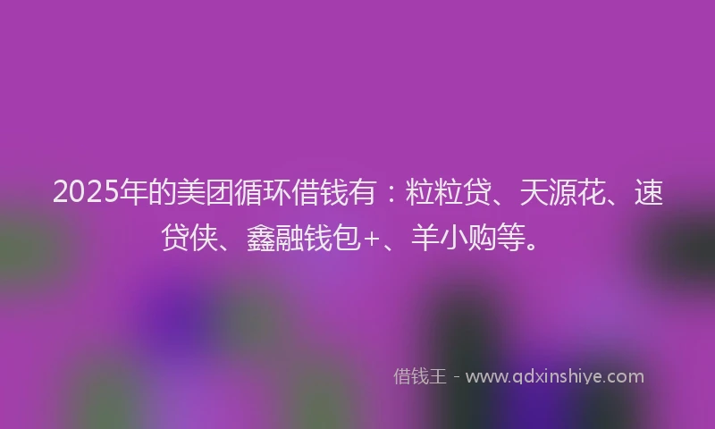 2025年的美团循环借钱有：粒粒贷、天源花、速贷侠、鑫融钱包+、羊小购等。
