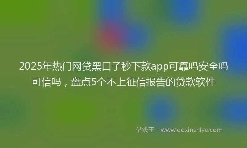 2025年热门网贷黑口子秒下款app可靠吗安全吗可信吗，盘点5个不上征信报告的贷款软件
