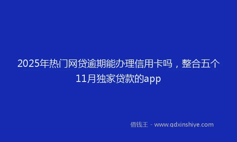 2025年热门网贷逾期能办理信用卡吗，整合五个11月独家贷款的app