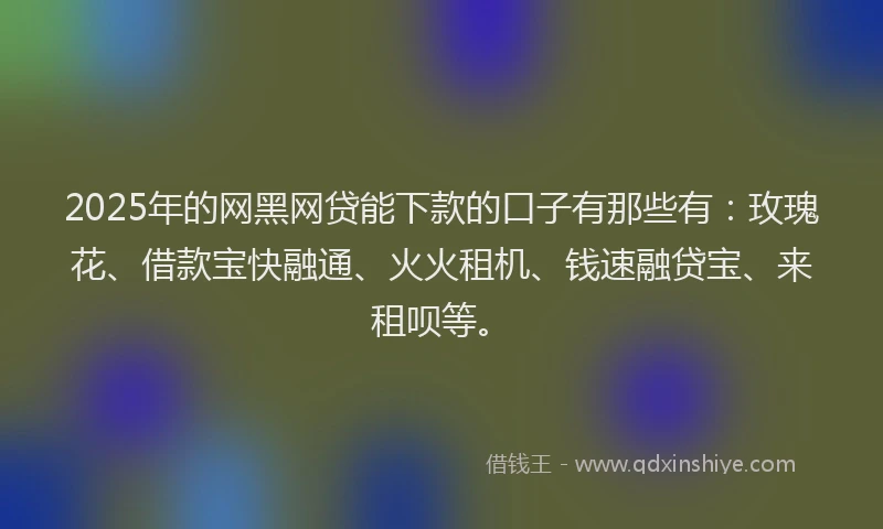 2025年的网黑网贷能下款的口子有那些有：玫瑰花、借款宝快融通、火火租机、钱速融贷宝、来租呗等。