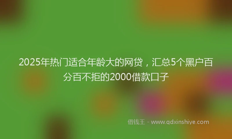 2025年热门适合年龄大的网贷，汇总5个黑户百分百不拒的2000借款口子