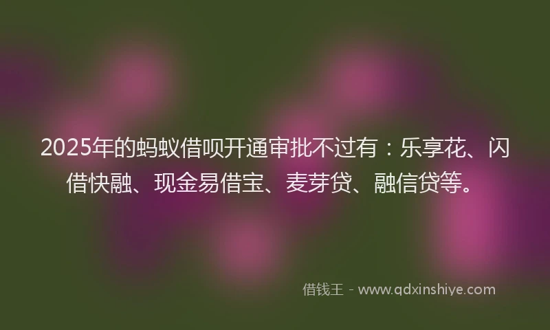 2025年的蚂蚁借呗开通审批不过有：乐享花、闪借快融、现金易借宝、麦芽贷、融信贷等。