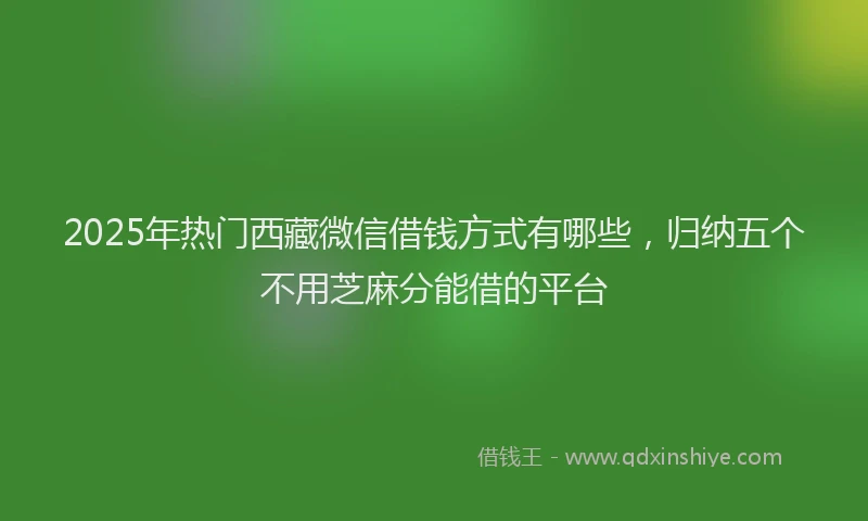 2025年热门西藏微信借钱方式有哪些，归纳五个不用芝麻分能借的平台
