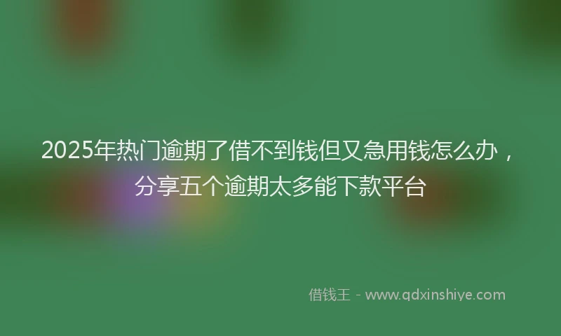 2025年热门逾期了借不到钱但又急用钱怎么办，分享五个逾期太多能下款平台