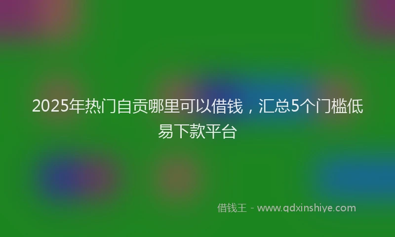 2025年热门自贡哪里可以借钱，汇总5个门槛低易下款平台