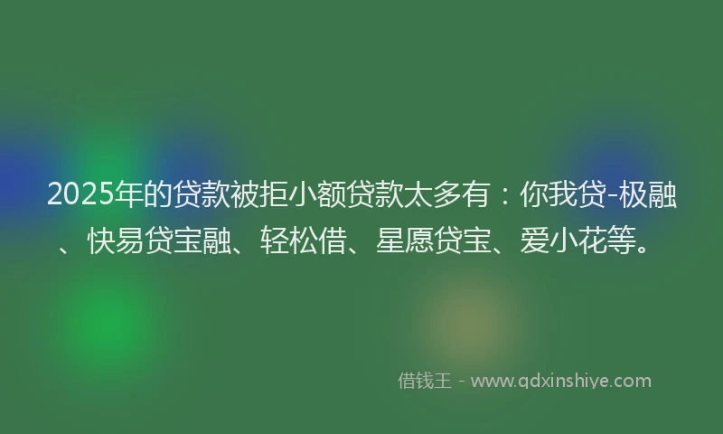 2025年的贷款被拒小额贷款太多有：你我贷-极融、快易贷宝融、轻松借、星愿贷宝、爱小花等。