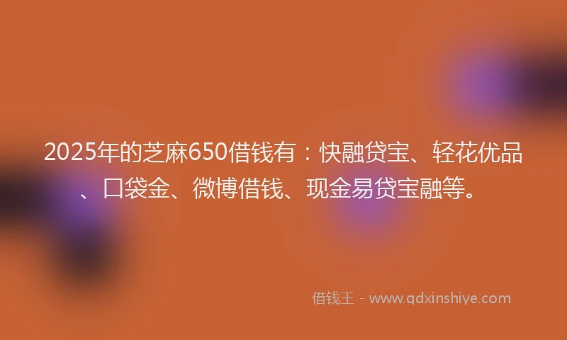 2025年的芝麻650借钱有：快融贷宝、轻花优品、口袋金、微博借钱、现金易贷宝融等。