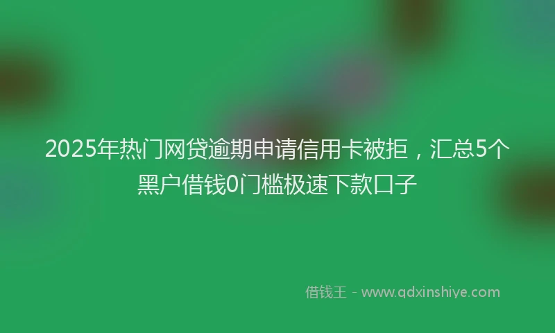 2025年热门网贷逾期申请信用卡被拒，汇总5个黑户借钱0门槛极速下款口子