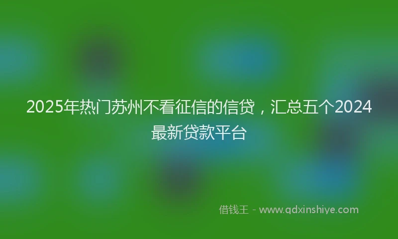 2025年热门苏州不看征信的信贷，汇总五个2024最新贷款平台