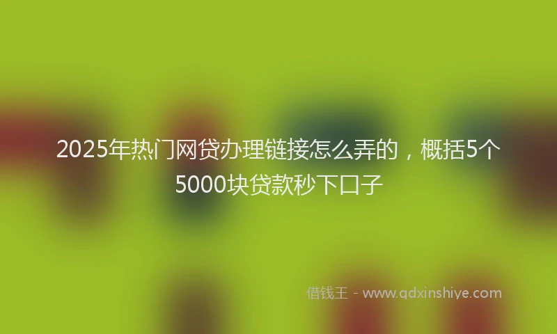 2025年热门网贷办理链接怎么弄的，概括5个5000块贷款秒下口子