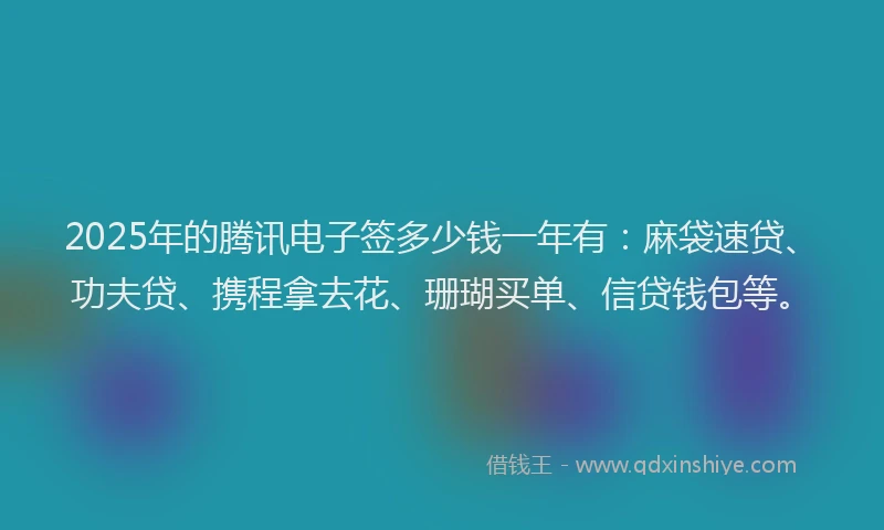 2025年的腾讯电子签多少钱一年有：麻袋速贷、功夫贷、携程拿去花、珊瑚买单、信贷钱包等。